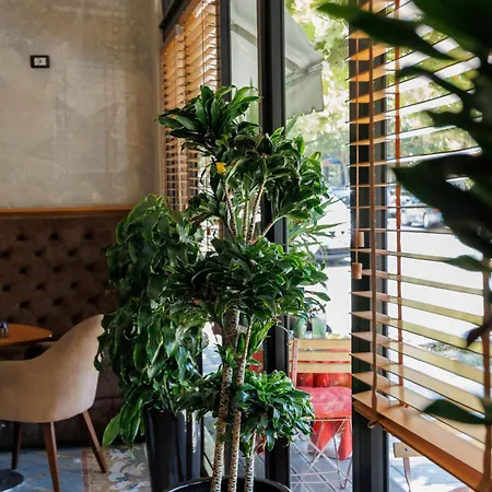 Harmony Boutique Hotel Vlorë