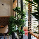 Harmony Boutique Отель Влёра