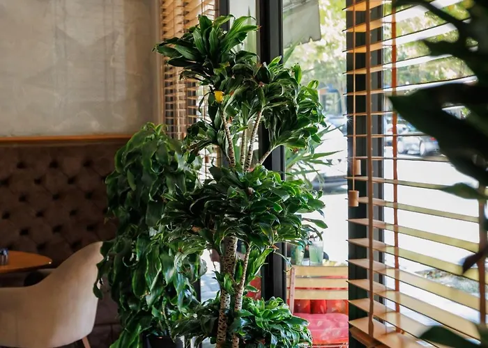 Harmony Boutique Hotel Vlorë